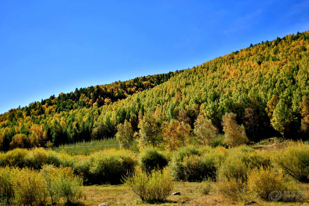 河北坝上四县gdp_河北坝上