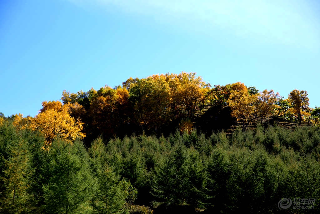 河北坝上四县gdp_河北坝上(2)