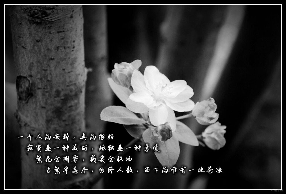 ec04399aace349078cd2fae26bd58b29.jpg