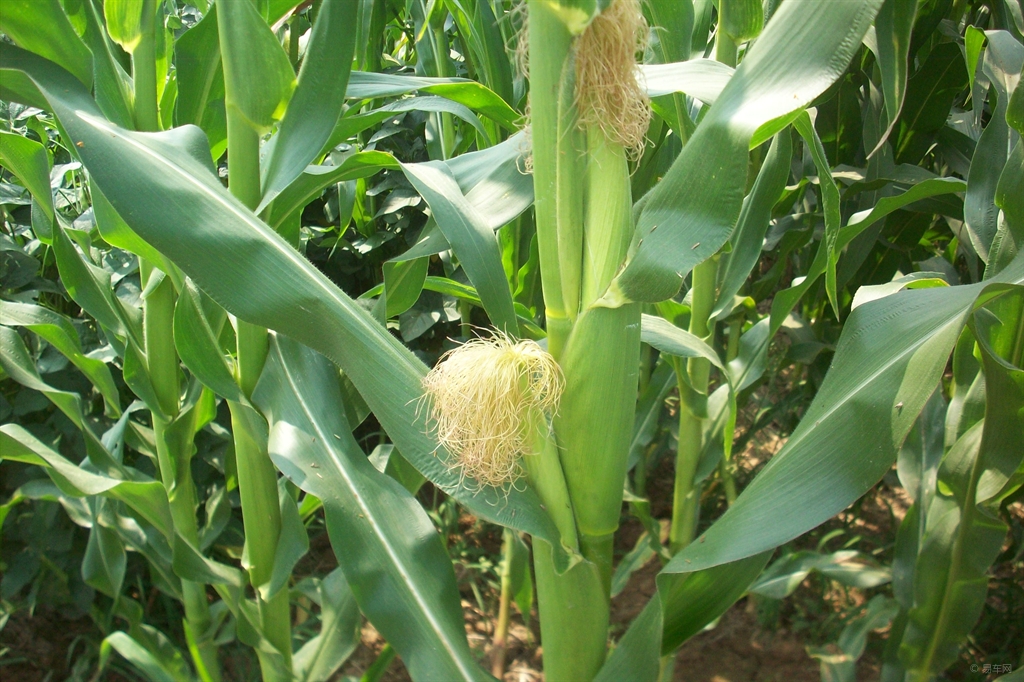 f9e7601b452849be85b8c471607c9799.JPG