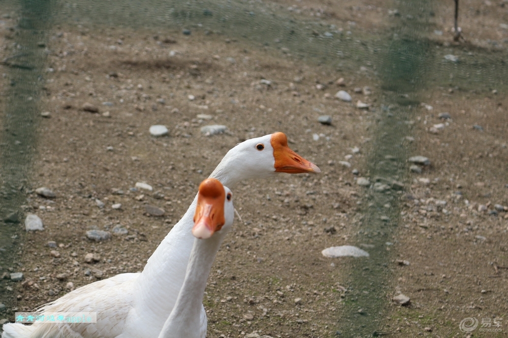 c3b1ae8edf95404e89058402afd094db.jpg