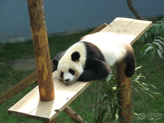 【汽车轮胎上的这些参数205\/55 R16 91V分别