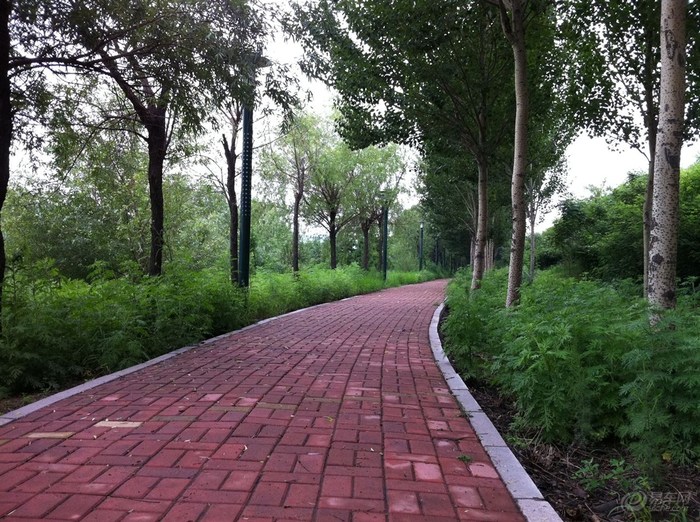 【<em>葫芦岛市图片</em>_自驾游照片_葫芦岛市有什么