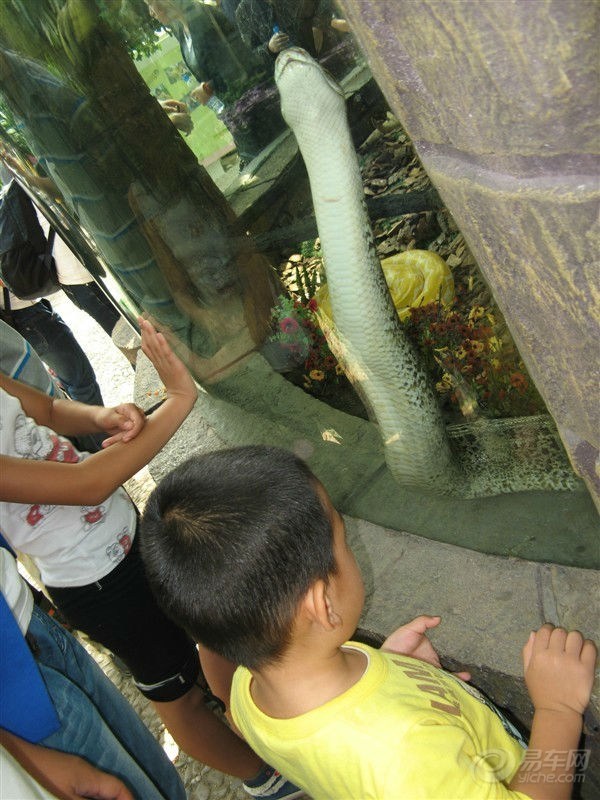 【汽车轮胎上的这些参数205\/55 R16 91V分别