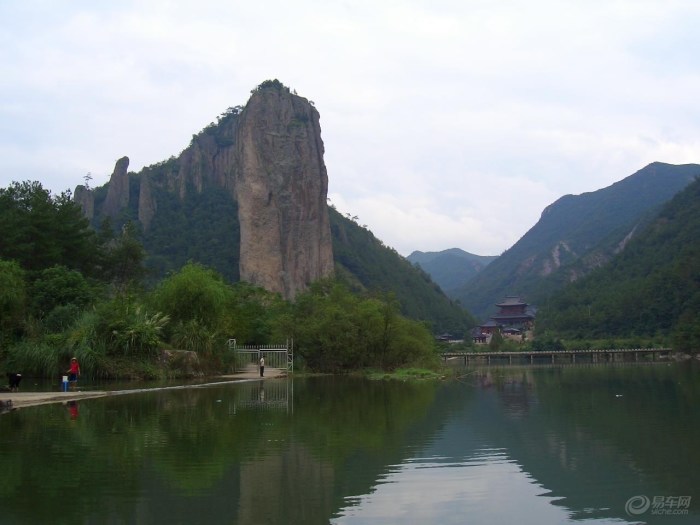 谷_寿仙谷灵芝孢子粉_寿仙谷药业有限公司 | 知