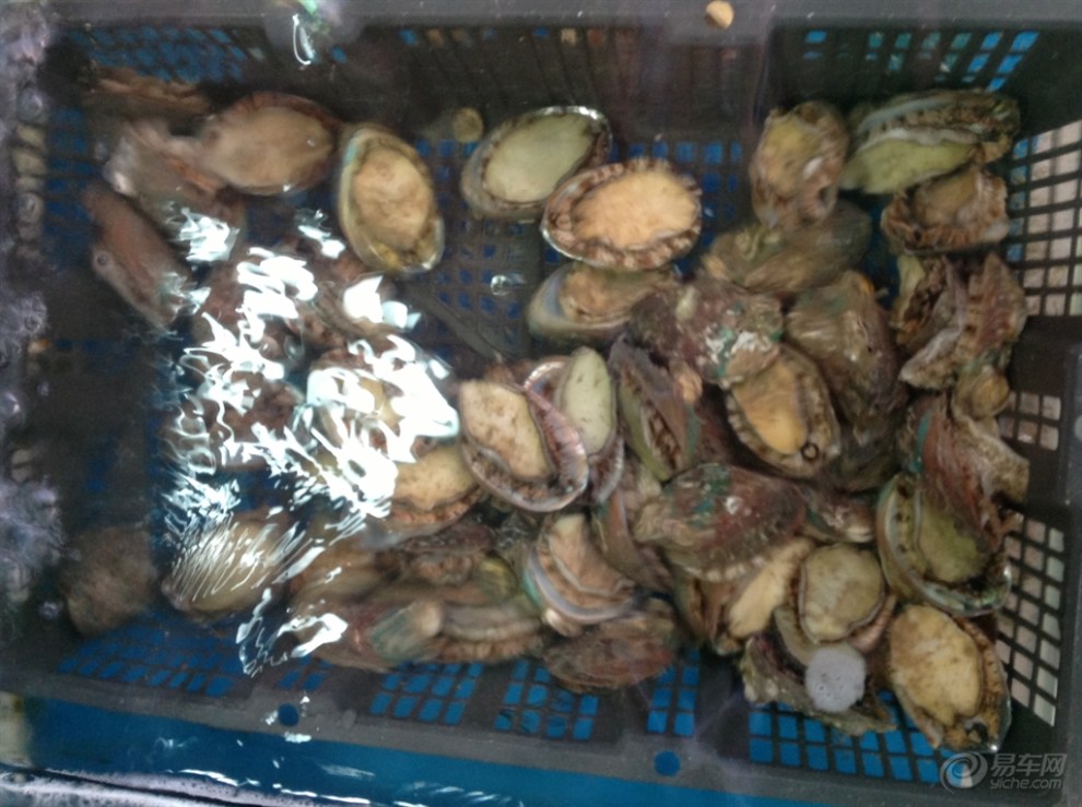 海鲜大餐_海鲜干货_江阴海鲜(2)