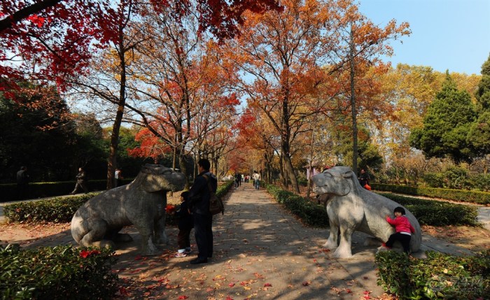 【分享下我最喜欢最满意的秋景作业】_广东车