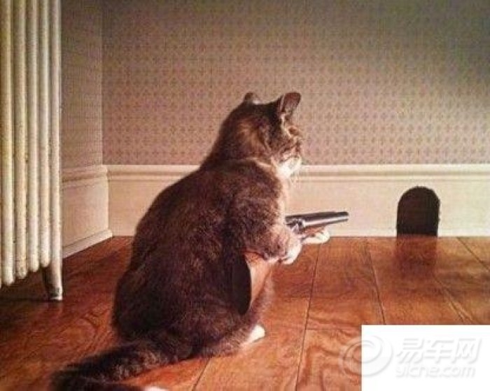 【【精选图片】你被包围了】_湖北车友会_汽