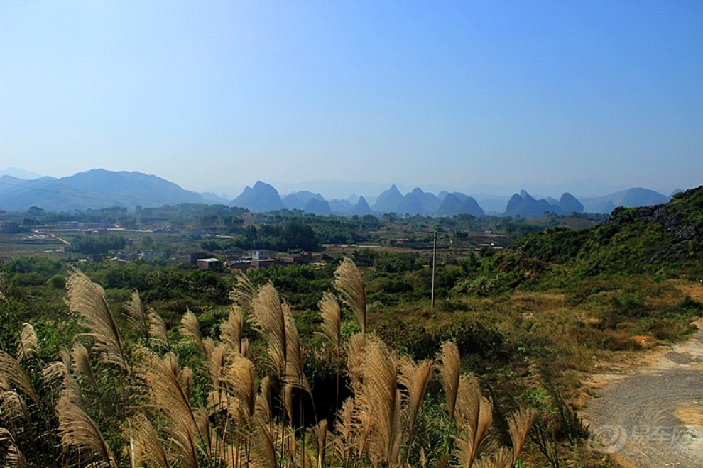 【停车坐爱枫林晚,霜叶红于二月花】_凯越论坛