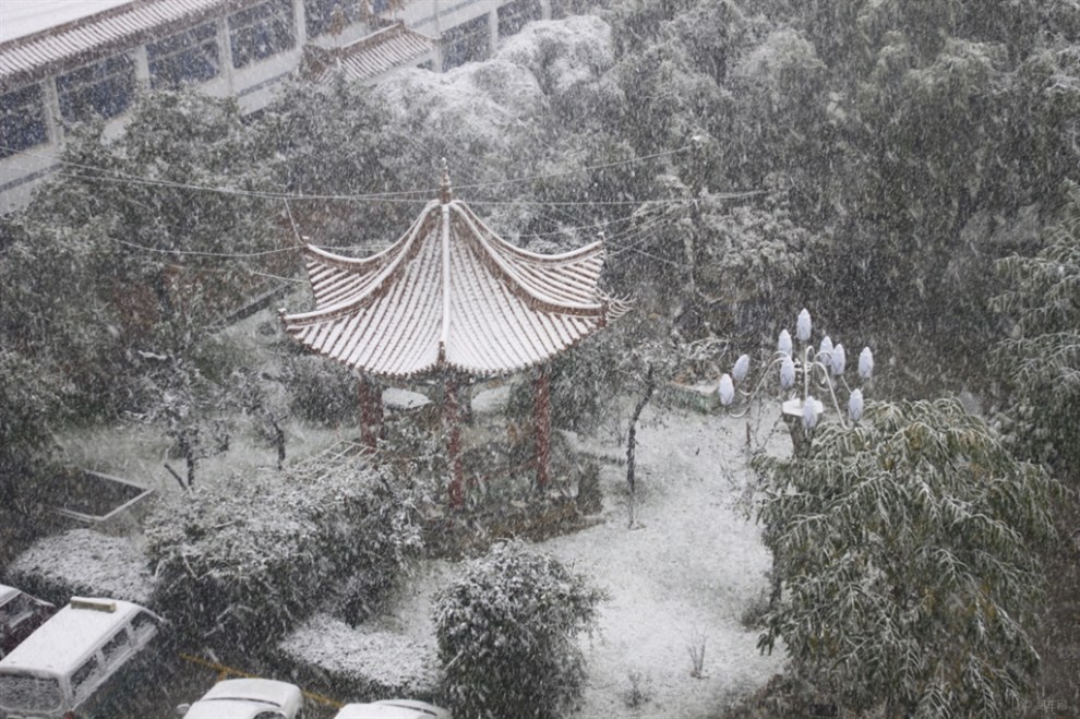 【鹅毛大雪不是盖的】_新赛欧论坛图片集锦