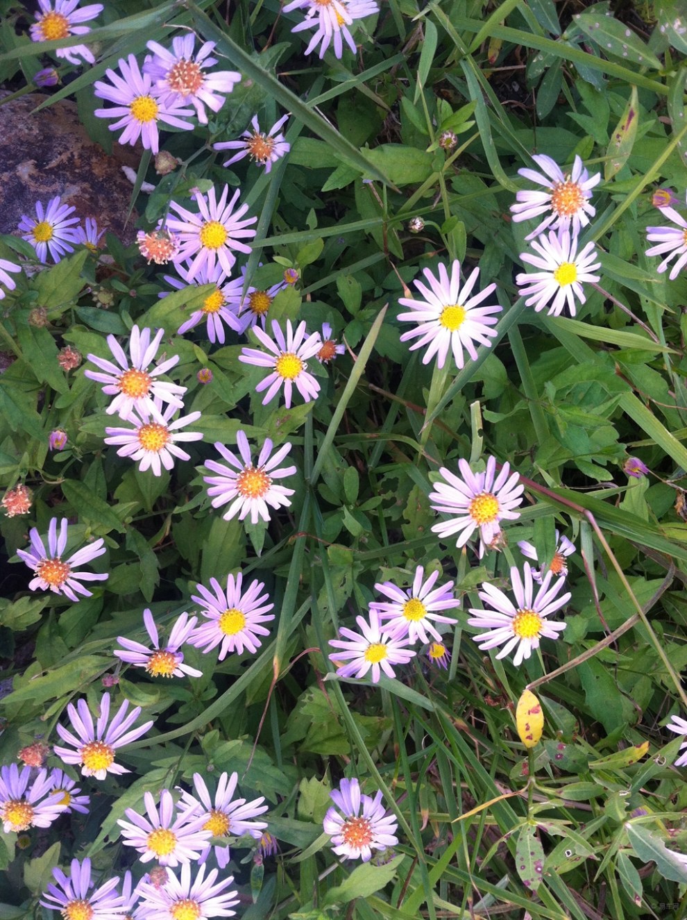 【周末休息带小六子男盆友回家】_众泰T600论