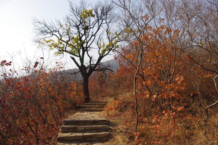 【【寻找秋季探客】 徒步坡峰岭 晚秋赏红叶】