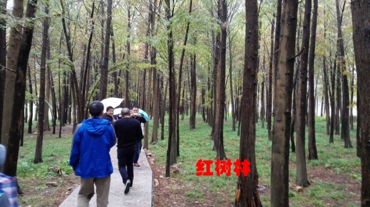 【【浙江CS35车友会】小记2014碧水湾年会】