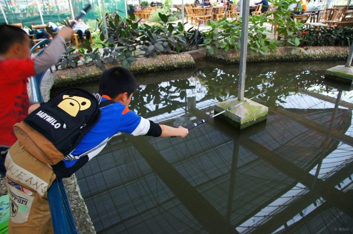 【亲子田园休闲活动】_浙江车友会_汽车论坛-易车网