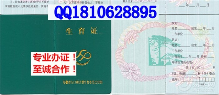 【广东<em>二胎准生证</em>样本广西江西陕西<em>二胎准生证</em>