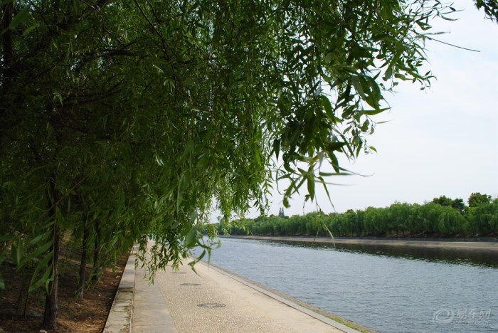 【健身走起河畔南端东岸观景道清风吹起垂柳依