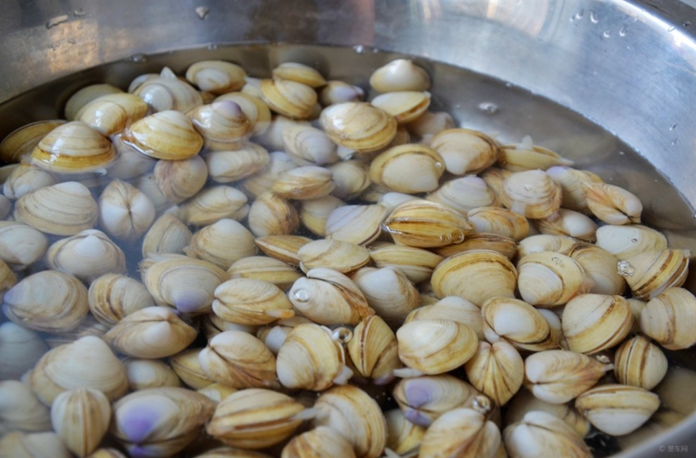 【【美味日志】辣炒白蛤子】_美食之旅论坛图片集锦_汽车论坛-易车网