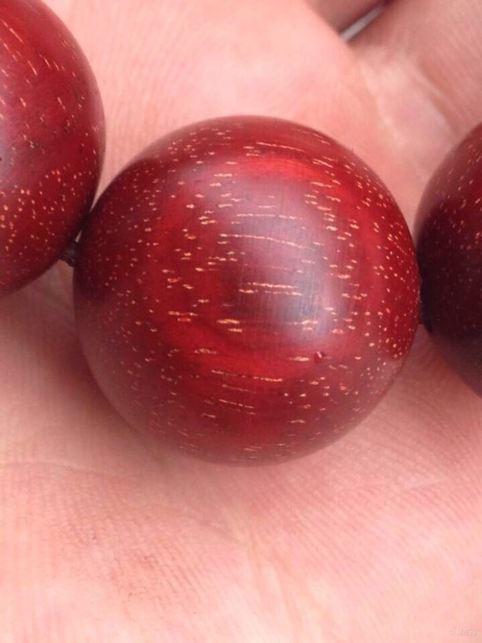 【车友开开眼---斧头帮疯狂抢紫檀柳附图】_山