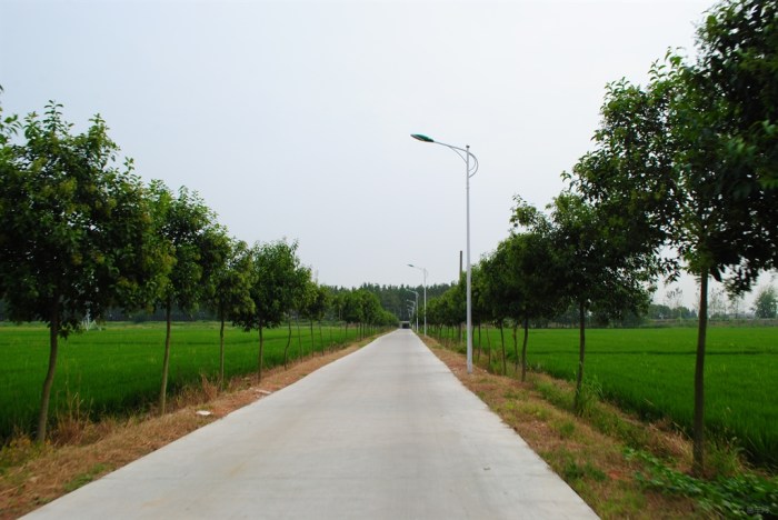 2018年乡村水泥路建设,长500米,宽3.5米,厚0.