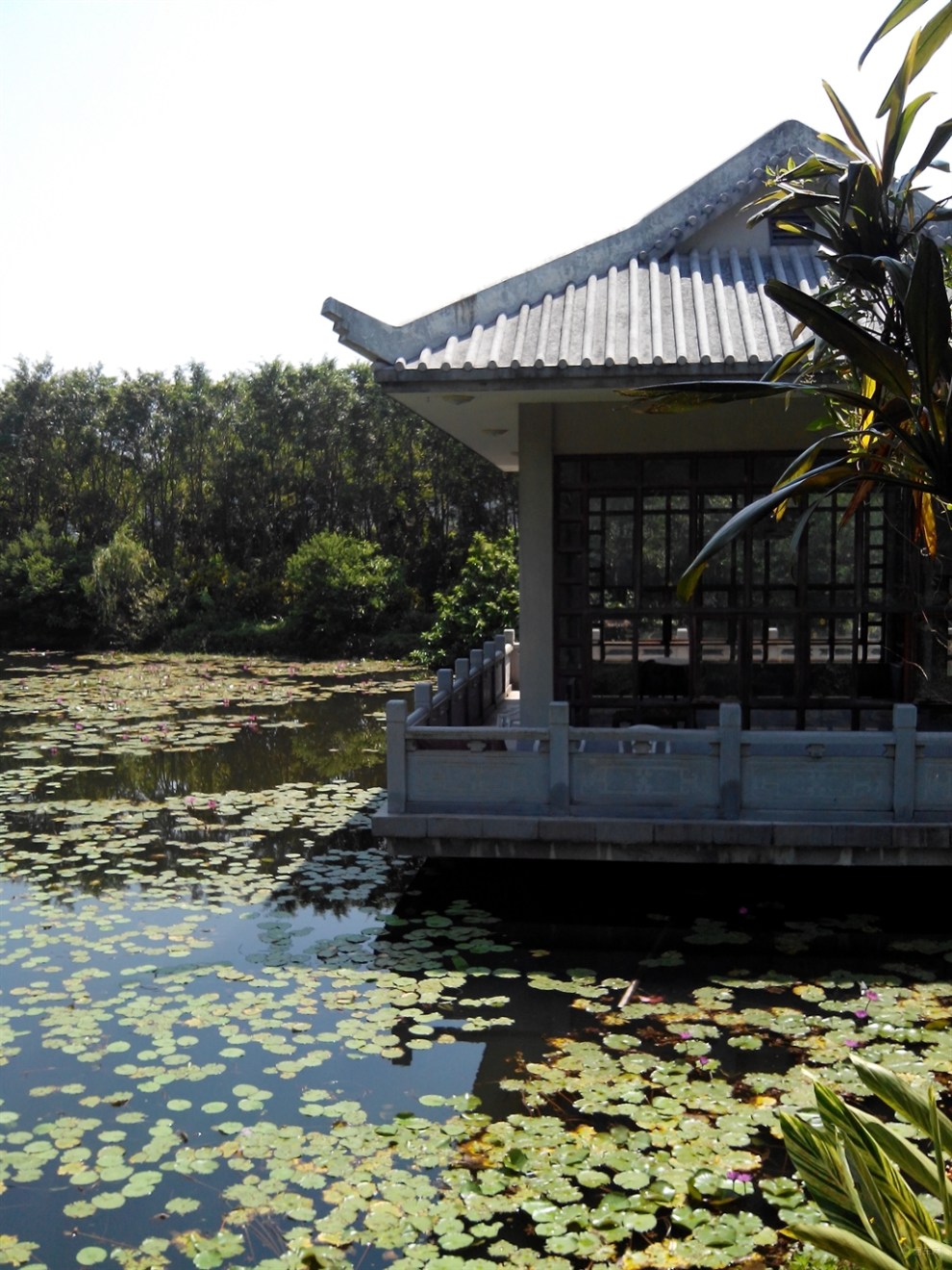 【游中山南方影视城】_骊威论坛图片集锦