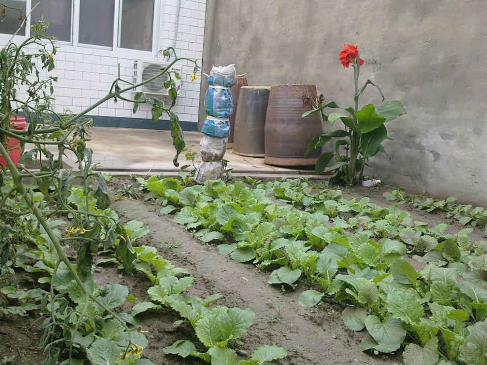 【晚上忘把车窗摇上 下雨了 顺便还想认证车主