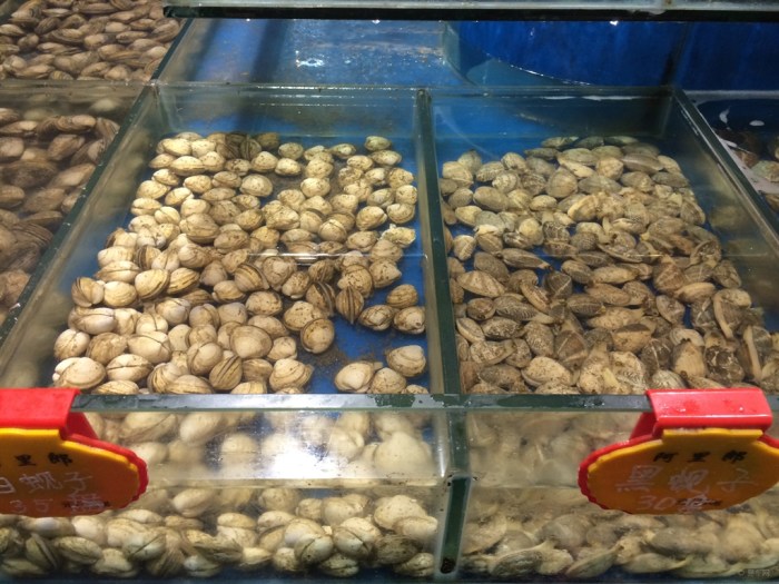 【鸭绿江边 丹东室内 阿里郎饭店】_辽宁车友