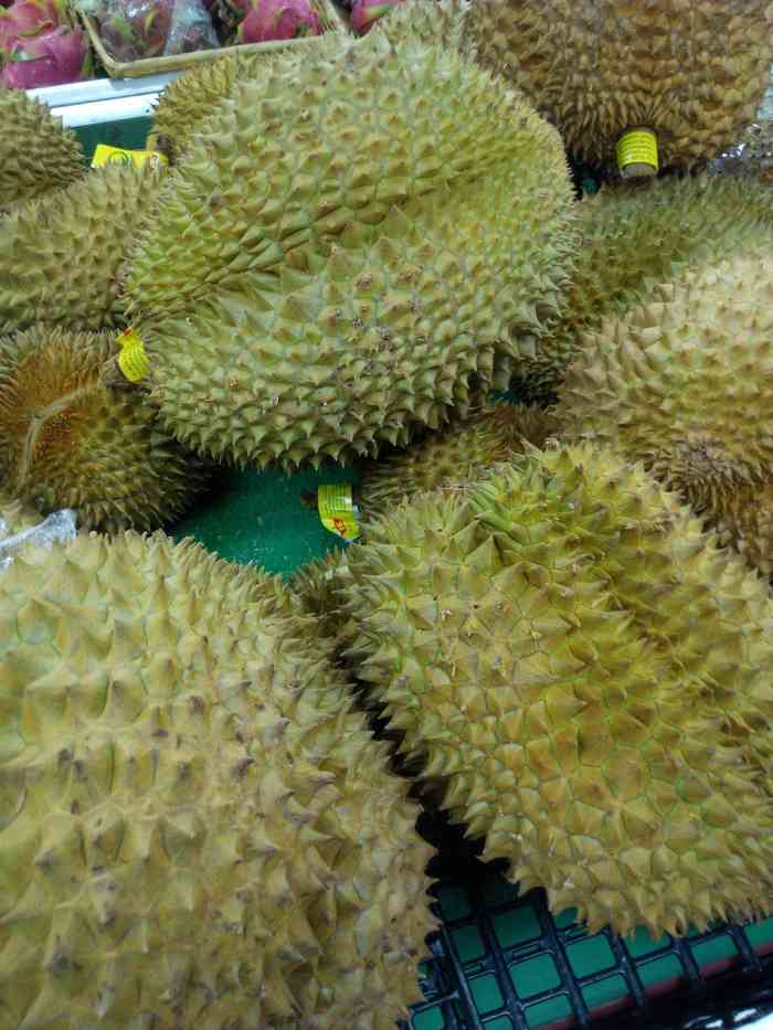 【【每日图鉴】榴莲】吉林论坛论坛_手机易车