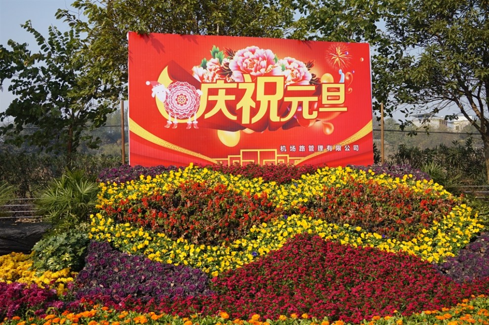 【圣诞,元旦双节活动】小逸元旦节桂林四保