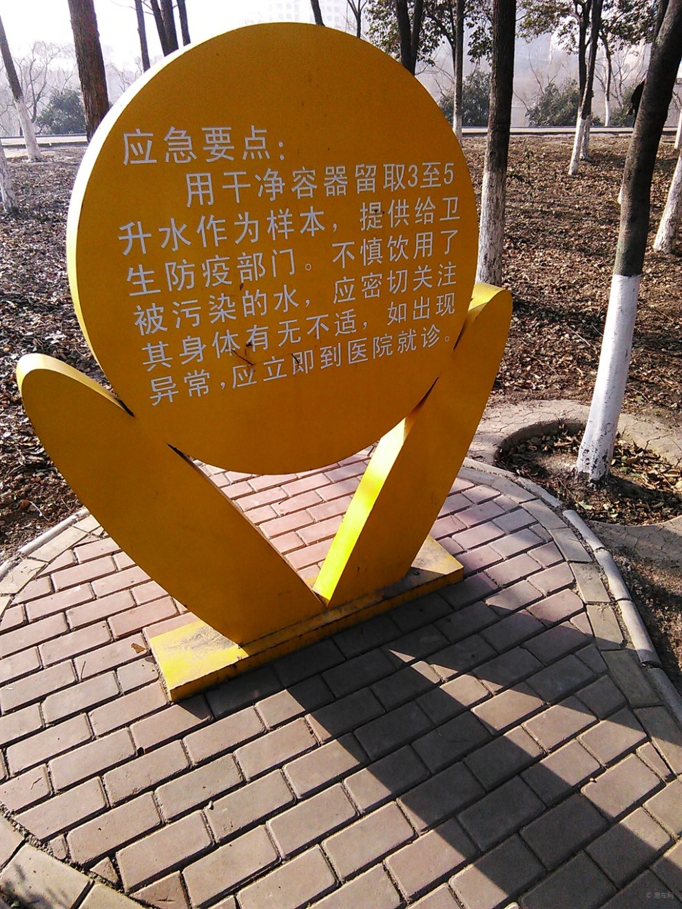 【【神韵原创首发】健康主题公园之急救知识苑