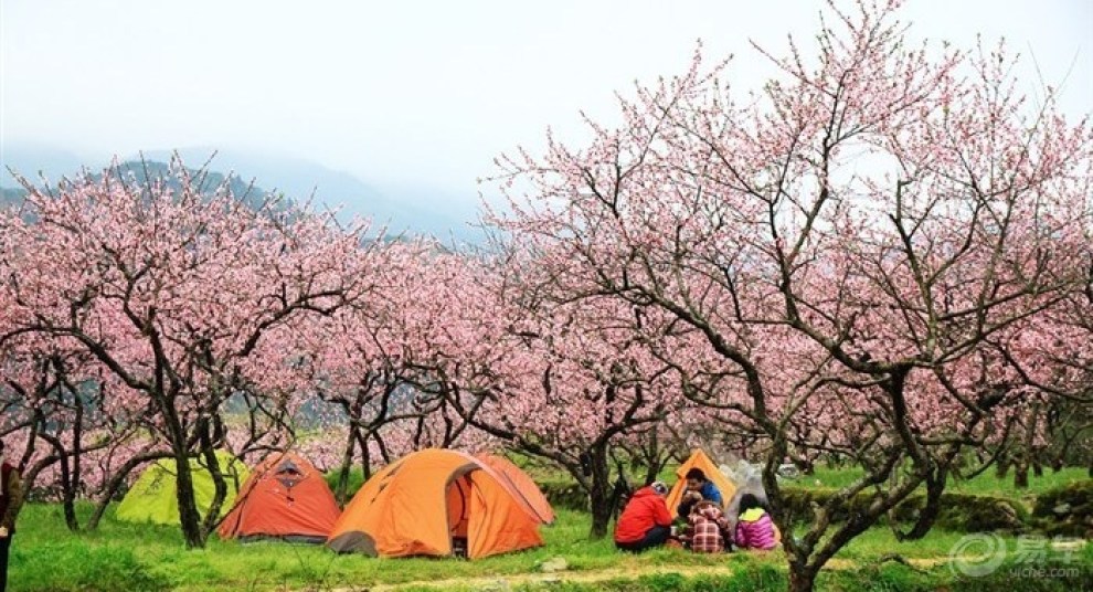 【水果之乡九峰山】_逍客论坛图片集锦