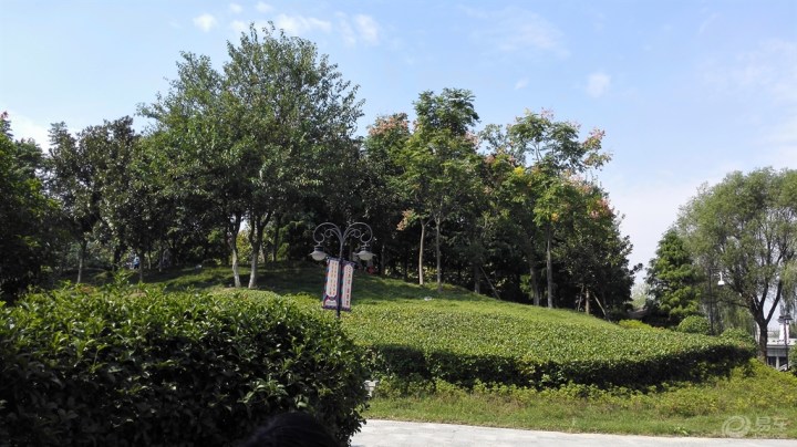 【【无锡CS75车友会】游玩泰州凤城河景区】