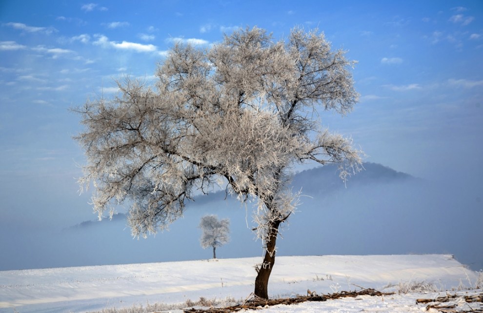 【【我眼中的冬日情怀】冬日雾凇岛】_摄影论