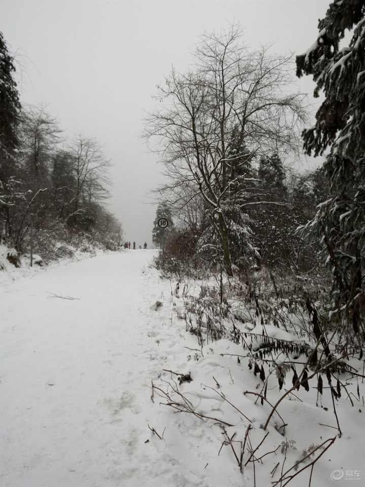 雪的世界 白雪公主 太多看不过来(手机党慎入)