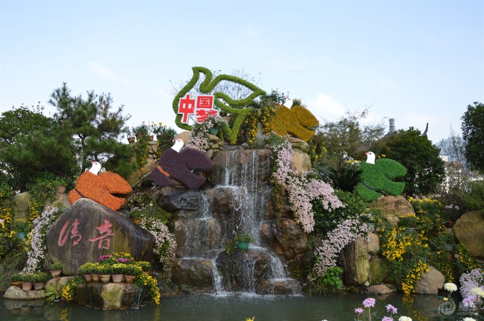 【第五届福建省菊花展南平展区】_福建论坛图