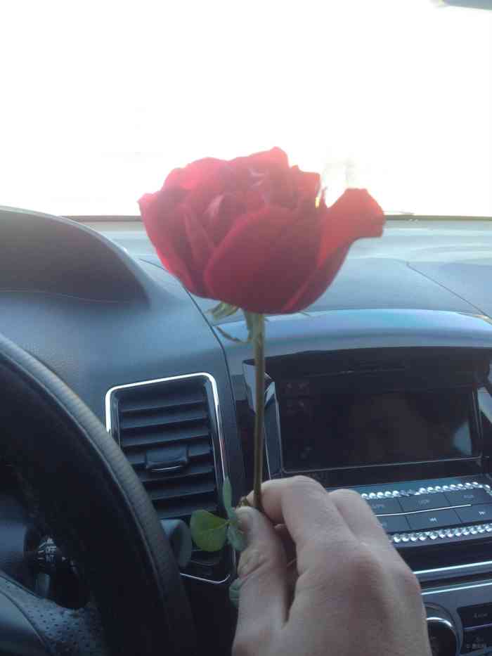 【淄博c50婚车队】【2015年情人节】【卖玫瑰的老男孩】
