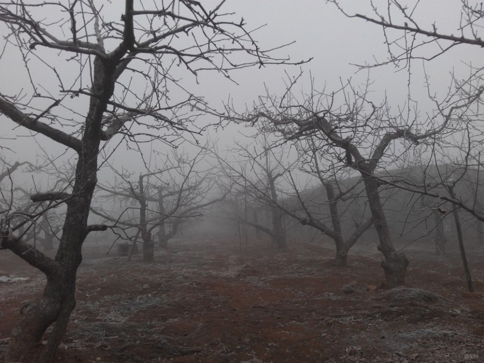 【:【全民治霾-环保牛招】农村也雾霾】_北京