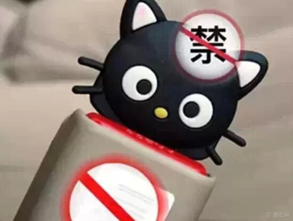 【车震可以!但请不要在爱车里这样做.】_众泰