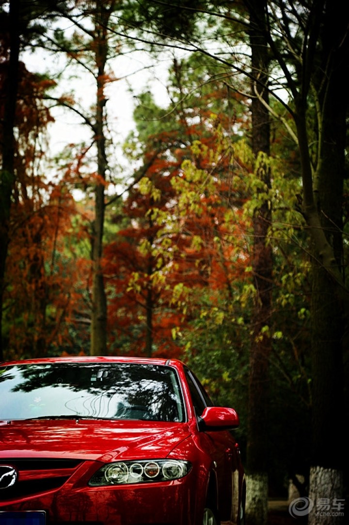 两年. 马六感悟