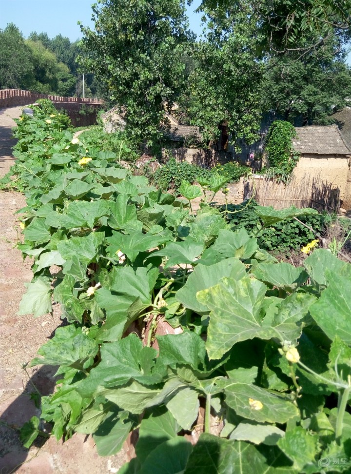 【【神韵原创首发】游临沣寨吃饸烙面】_河南