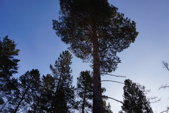 【游北极村,感受零下46度的极寒天气】_黑龙江
