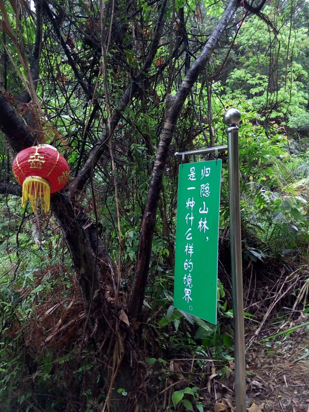 【徜徉在新丰云天海温泉原始森林度假村的两天