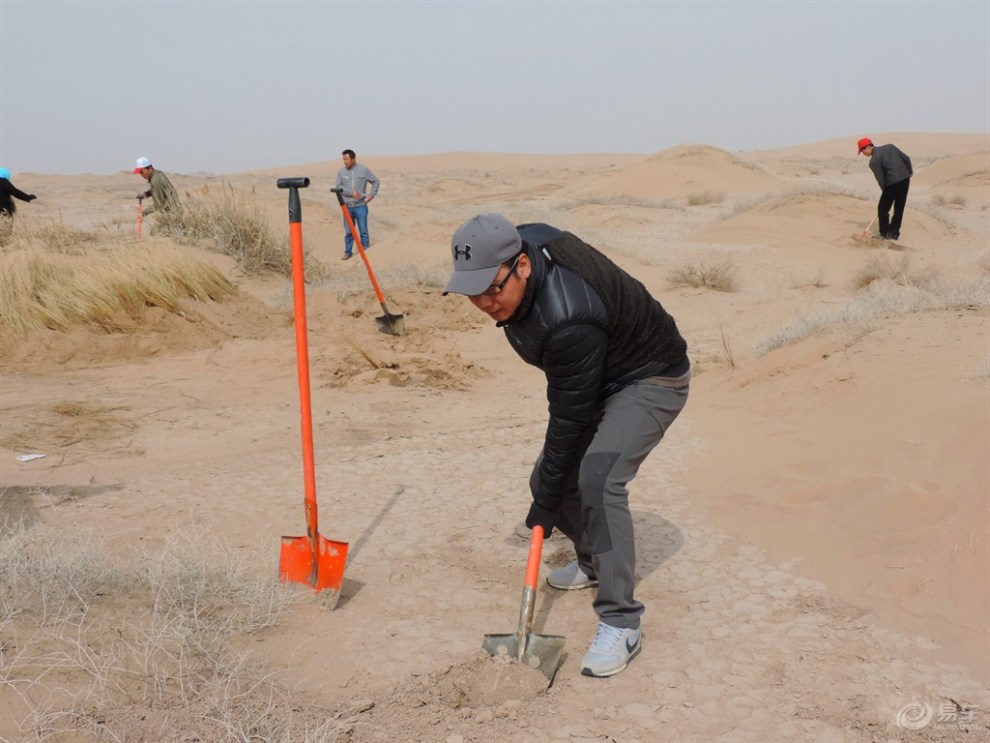 【【民勤植树】参加植树活动有感】_甘肃论坛