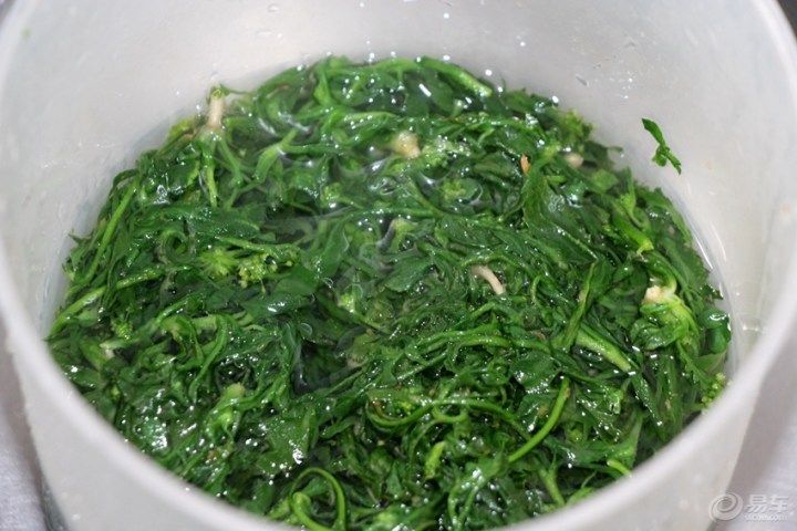 【【田园鲜蔬】荠菜木耳包水饺】_美食之旅论