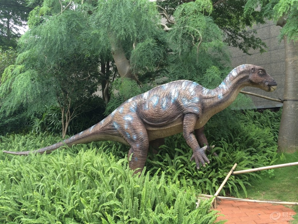 【深圳地质公园博物馆(恐龙时代)】_风云2论坛