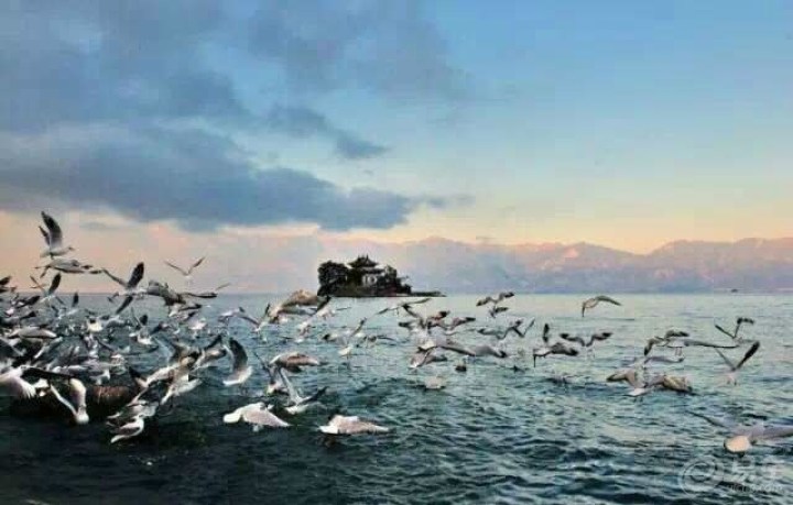 生活就是不断地折腾、创新、带着小七来拉仇恨