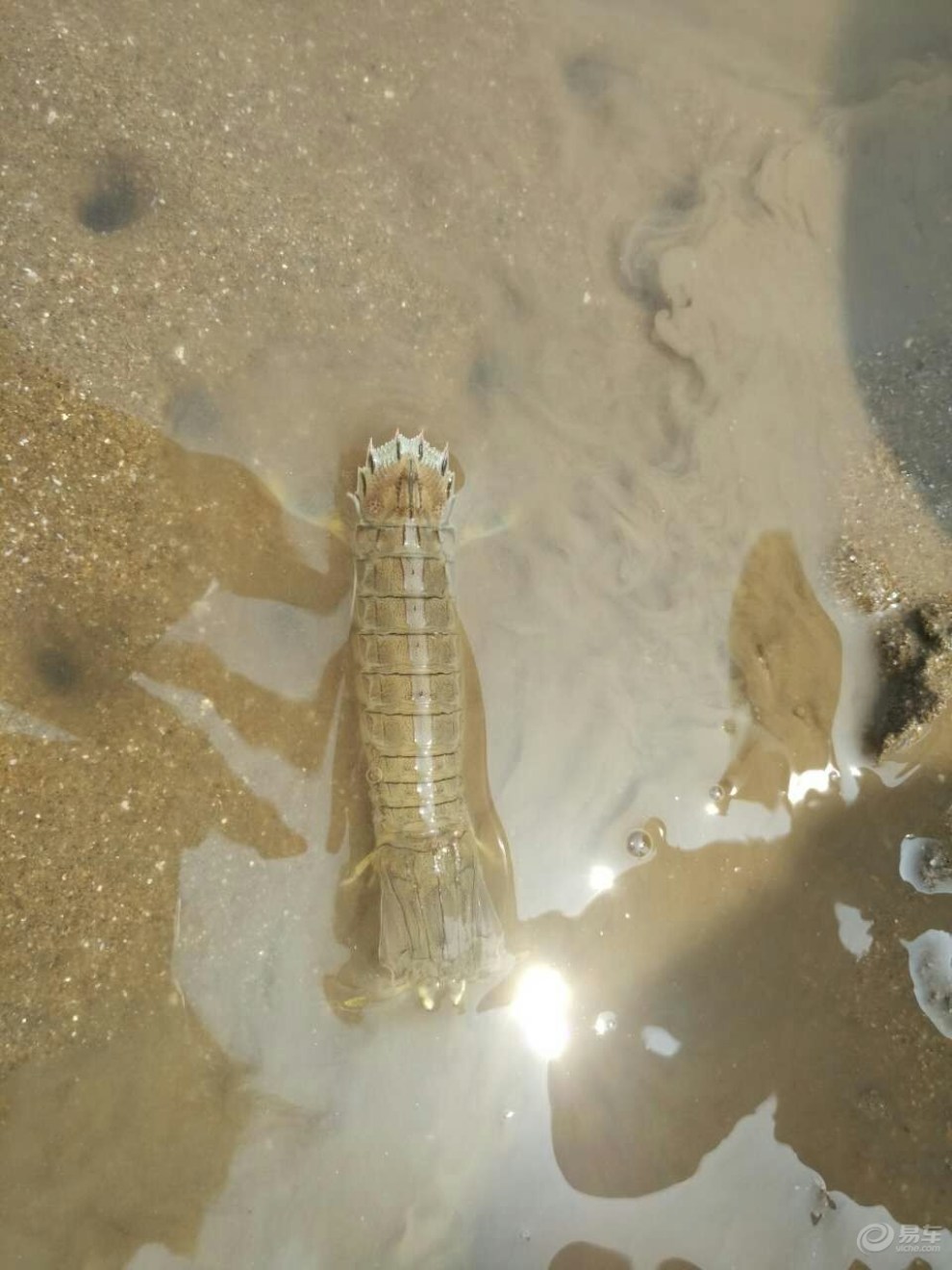 【【易大奖,吉八月】酷热天气游北海 畅游大海
