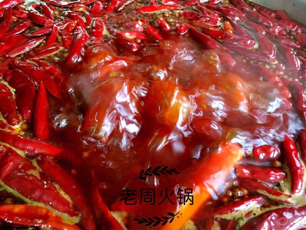 【成都地区十代思域微信v视频混脸熟!视频给旗胜V3版主广告图片