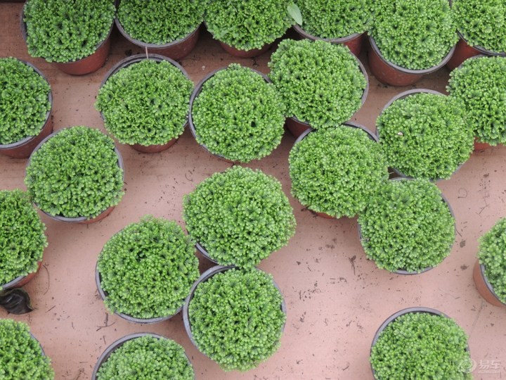 【百花丛中过 片叶不沾身】_宝来论坛_汽车论