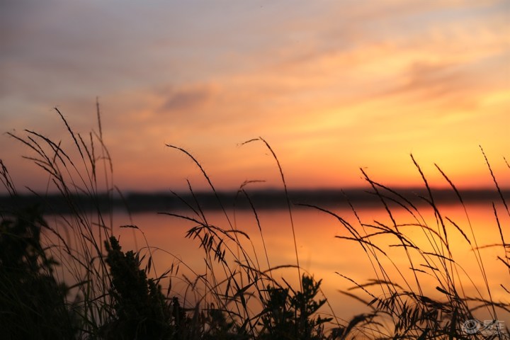 夕阳下的晚歌,魅力瑞风S7