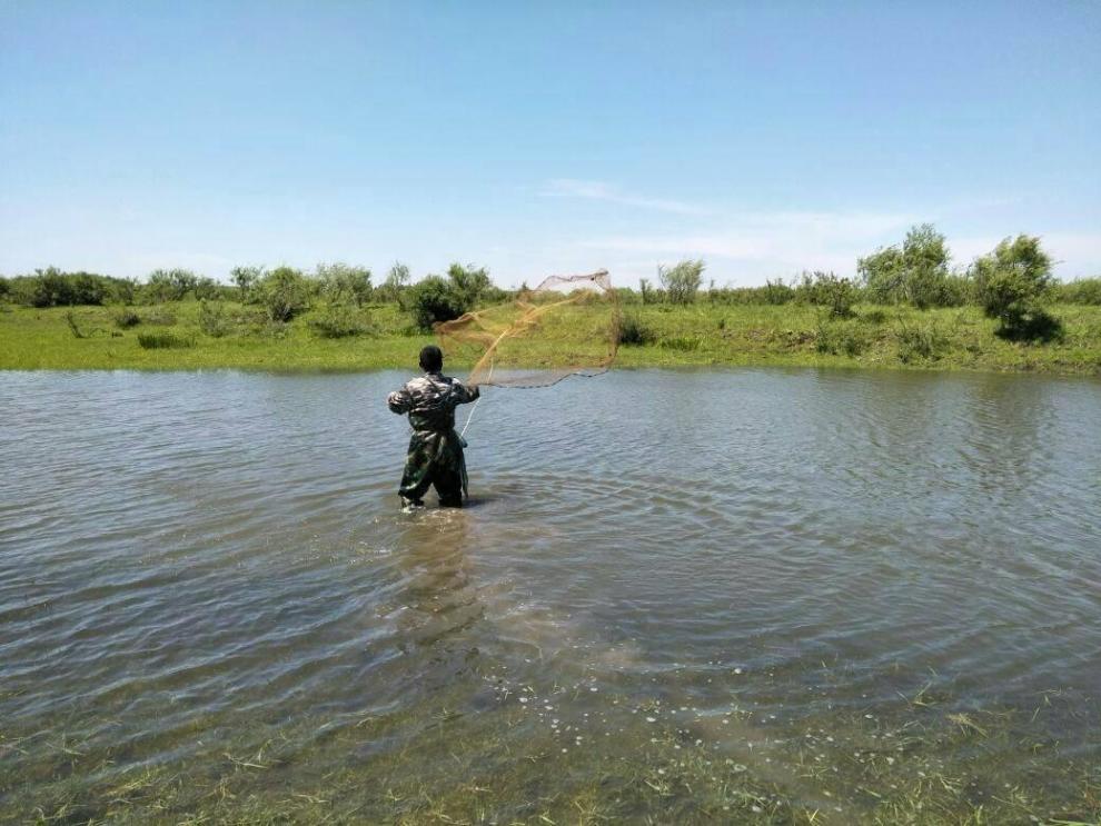 【#端午一起SHOW#到河岔子打鱼 今天休.】_